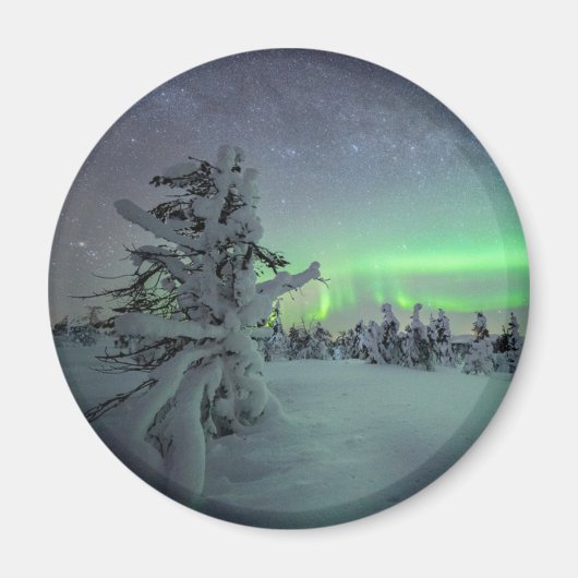 IJs en sneeuw | Nationaal park Pallas-Yllastunturi Magneet (Voorkant)