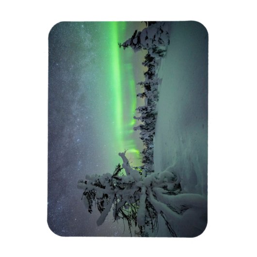 IJs en sneeuw | Nationaal park Pallas-Yllastunturi Magneet (Verticaal)