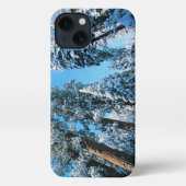 IJs en sneeuw | Nationaal park Sequoia, Californië iPhone Hoesje (Achterkant)