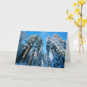 IJs en sneeuw | Nationaal park Sequoia, Californië Kaart (Gele Bloem)