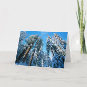 IJs en sneeuw | Nationaal park Sequoia, Californië Kaart (Voorkant)