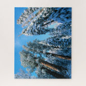 IJs en sneeuw | Nationaal park Sequoia, Californië Legpuzzel (Verticaal)