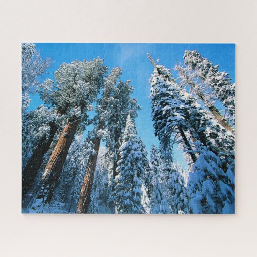 IJs en sneeuw | Nationaal park Sequoia, Californië Legpuzzel (Horizontaal)
