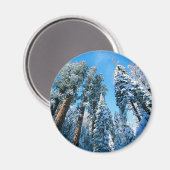 IJs en sneeuw | Nationaal park Sequoia, Californië Magneet (Voorkant / Achterkant)