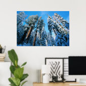 IJs en sneeuw | Nationaal park Sequoia, Californië Poster (Thuiskantoor)