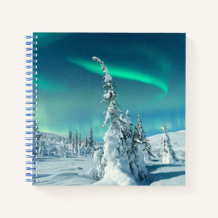 IJs en sneeuw Noordelijke lichten, Lapland, Finl Notitieboek