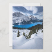 IJs en sneeuw | Peyto Lake, Canadees Rockies Bedankkaart (Voorkant)