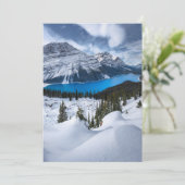 IJs en sneeuw | Peyto Lake, Canadees Rockies Bedankkaart (Staand voorkant)