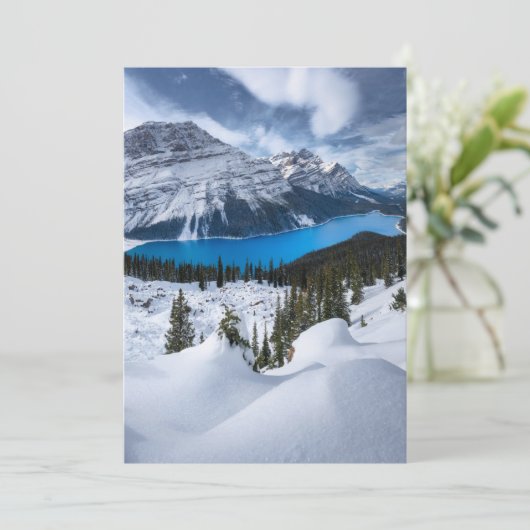 IJs en sneeuw | Peyto Lake, Canadees Rockies Bedankkaart (Staand voorkant)