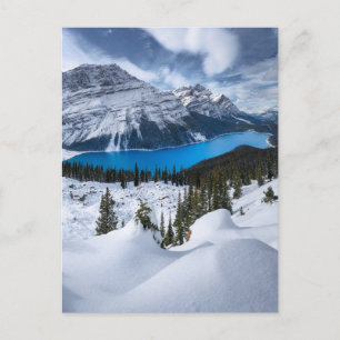 IJs en sneeuw   Peyto Lake, Canadees Rockies Briefkaart