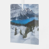 IJs en sneeuw | Peyto Lake, Canadees Rockies Glas Ornament (Voorkant links)