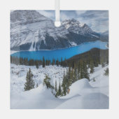 IJs en sneeuw | Peyto Lake, Canadees Rockies Glas Ornament (Voorkant)