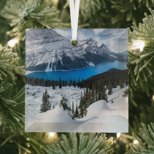 IJs en sneeuw | Peyto Lake, Canadees Rockies Glas Ornament (Insitu)
