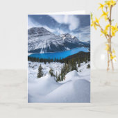 IJs en sneeuw | Peyto Lake, Canadees Rockies Kaart (Gele Bloem)
