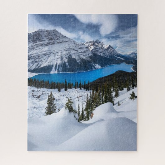 IJs en sneeuw | Peyto Lake, Canadees Rockies Legpuzzel (Verticaal)