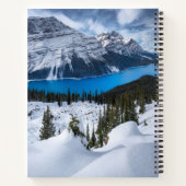 IJs en sneeuw | Peyto Lake, Canadees Rockies Notitieboek (Achterkant)