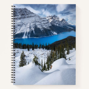IJs en sneeuw   Peyto Lake, Canadees Rockies Notitieboek