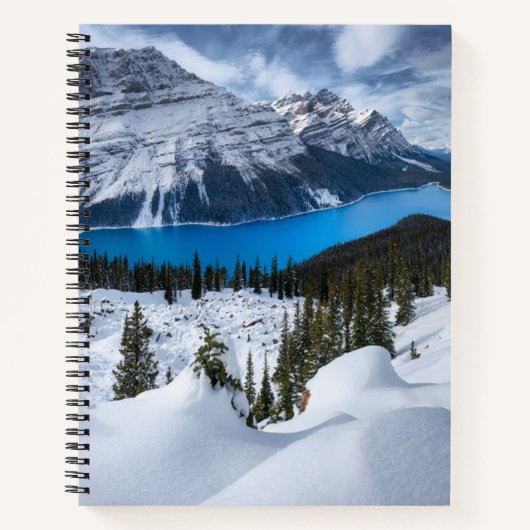 IJs en sneeuw | Peyto Lake, Canadees Rockies Notitieboek (Voorkant)