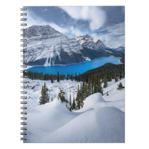 IJs en sneeuw   Peyto Lake, Canadees Rockies Notitieboek