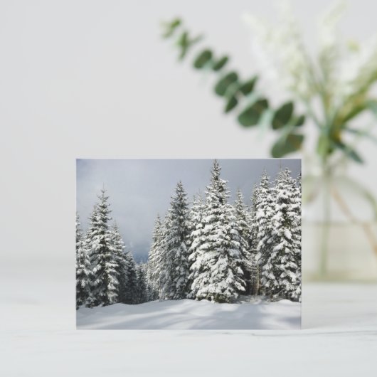 IJs en sneeuw | Pine Woodland, Oostenrijk Briefkaart (Staand voorkant)