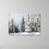 IJs en sneeuw | Pine Woodland, Oostenrijk Canvas Afdruk (Voorkant)