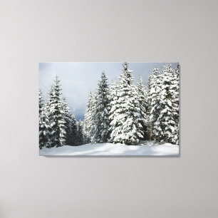 IJs en sneeuw   Pine Woodland, Oostenrijk Canvas Afdruk