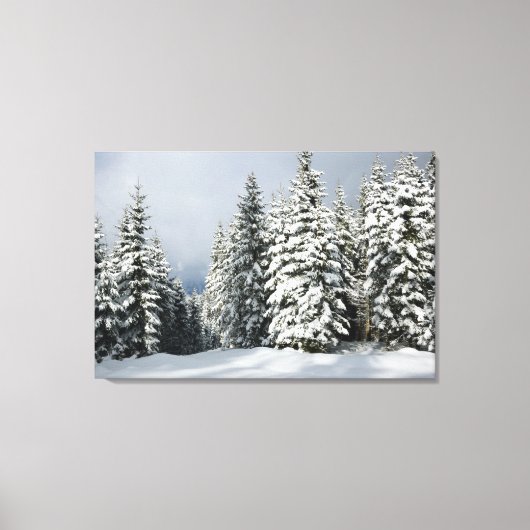 IJs en sneeuw | Pine Woodland, Oostenrijk Canvas Afdruk (Voorkant)