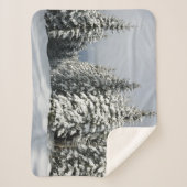 IJs en sneeuw | Pine Woodland, Oostenrijk Sherpa Deken (Voorkant)