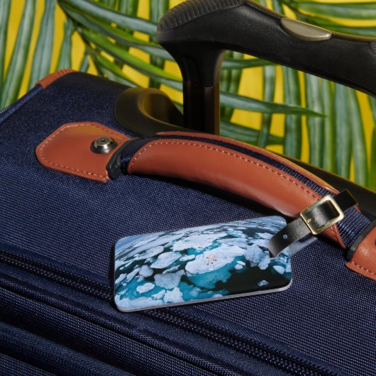 IJs en sneeuw | Polair Beer, Arctische Oceaan, Sva Bagagelabel (Voorkant Insitu 3)