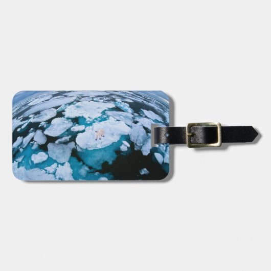 IJs en sneeuw | Polair Beer, Arctische Oceaan, Sva Bagagelabel (Voorkant horizontaal)