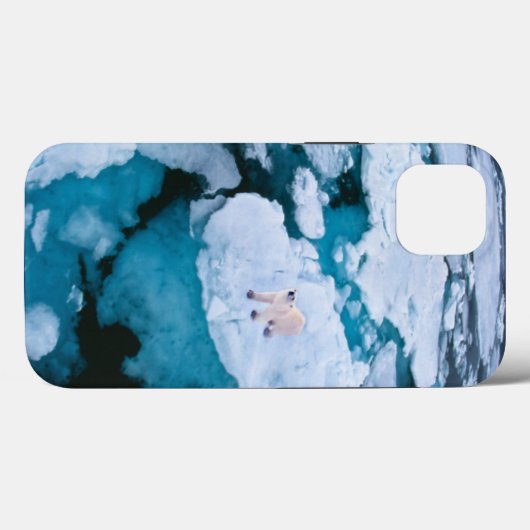 IJs en sneeuw | Polair Beer, Arctische Oceaan, Sva Case-Mate iPhone Case (Achterkant (horizontaal))
