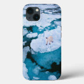 IJs en sneeuw | Polair Beer, Arctische Oceaan, Sva Case-Mate iPhone Case (Achterkant)