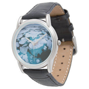 IJs en sneeuw   Polair Beer, Arctische Oceaan, Sva Horloge