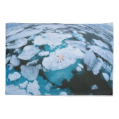 IJs en sneeuw | Polair Beer, Arctische Oceaan, Sva Kussensloop (Achterkant)