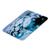 IJs en sneeuw | Polair Beer, Arctische Oceaan, Sva Magneet (Linkerzijde)