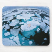 IJs en sneeuw | Polair Beer, Arctische Oceaan, Sva Muismat (Voorkant)