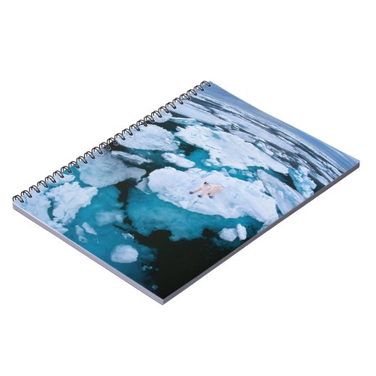 IJs en sneeuw | Polair Beer, Arctische Oceaan, Sva Notitieboek (Linkerzijde)