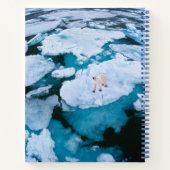 IJs en sneeuw | Polair Beer, Arctische Oceaan, Sva Notitieboek (Achterkant)