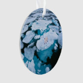 IJs en sneeuw | Polair Beer, Arctische Oceaan, Sva Ornament (voorkant)