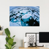 IJs en sneeuw | Polair Beer, Arctische Oceaan, Sva Poster (Thuiskantoor)