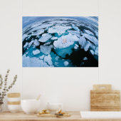 IJs en sneeuw | Polair Beer, Arctische Oceaan, Sva Poster (Keuken)