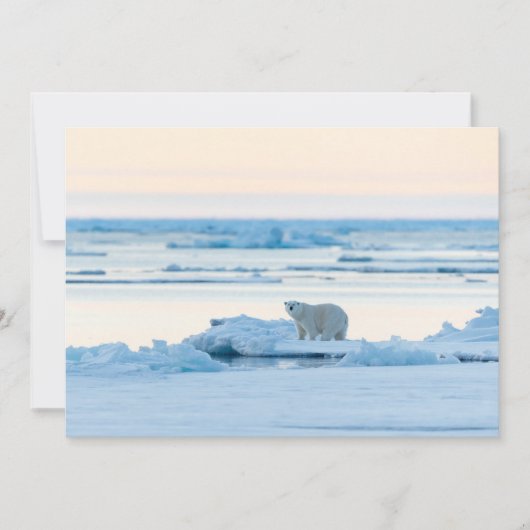 IJs en sneeuw | Polar Beer Iceberg Noorwegen Bedankkaart (Voorkant)