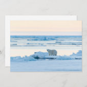IJs en sneeuw | Polar Beer Iceberg Noorwegen Bedankkaart (Voorkant / Achterkant)