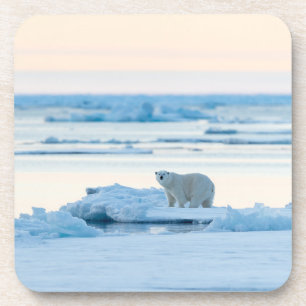 IJs en sneeuw Polar Beer Iceberg Noorwegen Bier Onderzetter