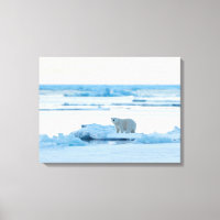 IJs en sneeuw | Polar Beer Iceberg Noorwegen