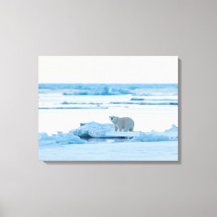 IJs en sneeuw   Polar Beer Iceberg Noorwegen Canvas Afdruk