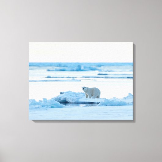 IJs en sneeuw | Polar Beer Iceberg Noorwegen Canvas Afdruk (Voorkant)
