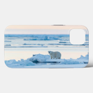 IJs en sneeuw Polar Beer Iceberg Noorwegen Case-Mate iPhone Case