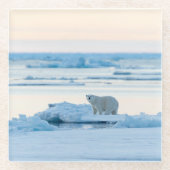 IJs en sneeuw | Polar Beer Iceberg Noorwegen Glazen Onderzetter (Voorkant)