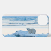 IJs en sneeuw | Polar Beer Iceberg Noorwegen iPhone Hoesje (Achterkant horizontaal)